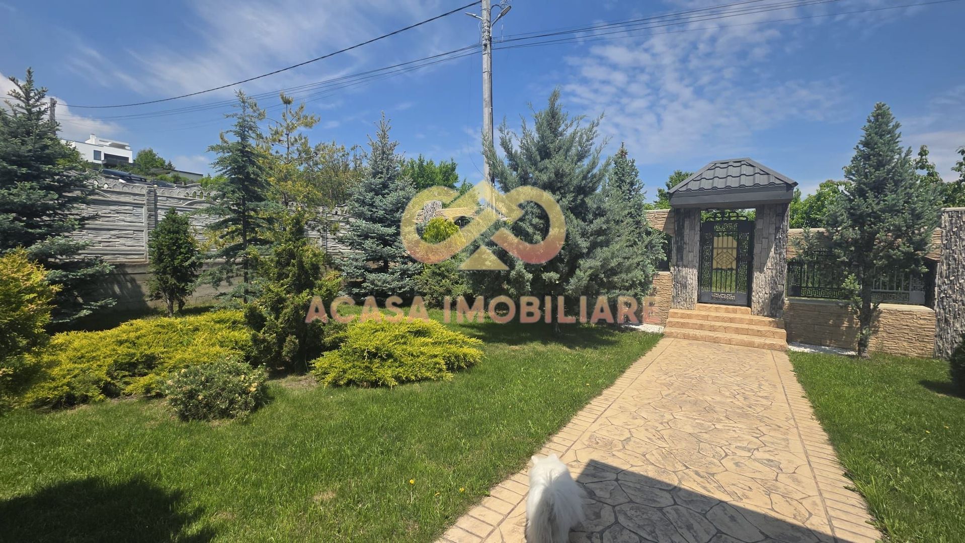 BUCIUM VILA 5 CAMERE 193MP  TEREN 1700MP - Poză 4