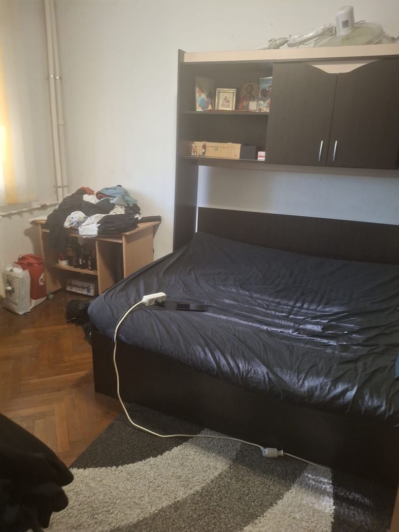 Vanzare apartament 2 camere Titan -Camil Ressu, Park Lake - Poză 4