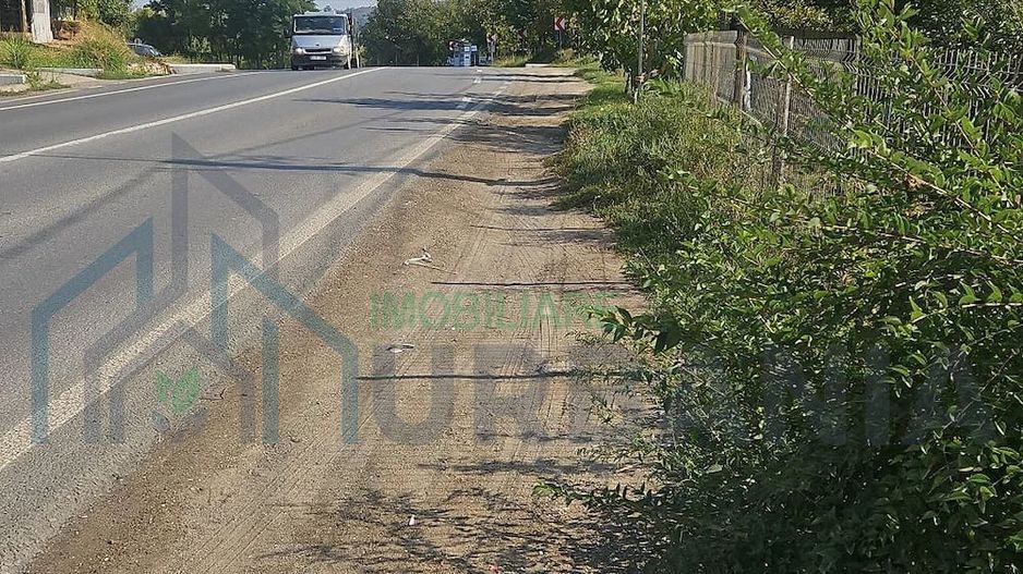 Teren intravilan 3600 mp disponibil în Ciurea, Iași - Poză 3