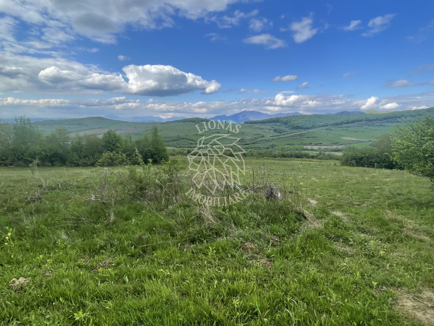 Teren 22700 mp-parcelabil-ideal casa de vacanta-panoramic-Cusma - Poză 4