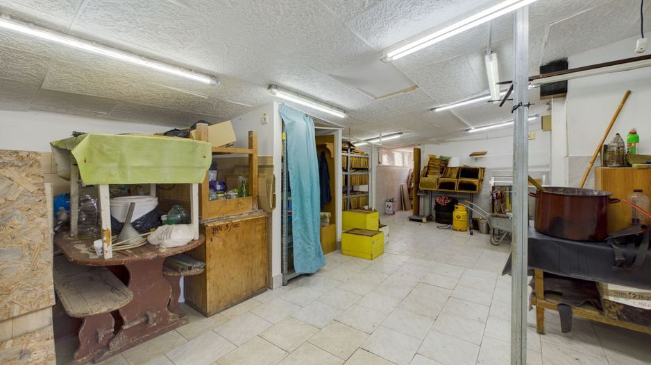 Casă/Apartamente/Spațiu comercial/Hală 700 mp Șagu - Poză 18