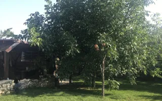 Vânzare, casă, 120 mp + 6 ari, str-la Ivan Miciurin, Telecentru. - Poză 14