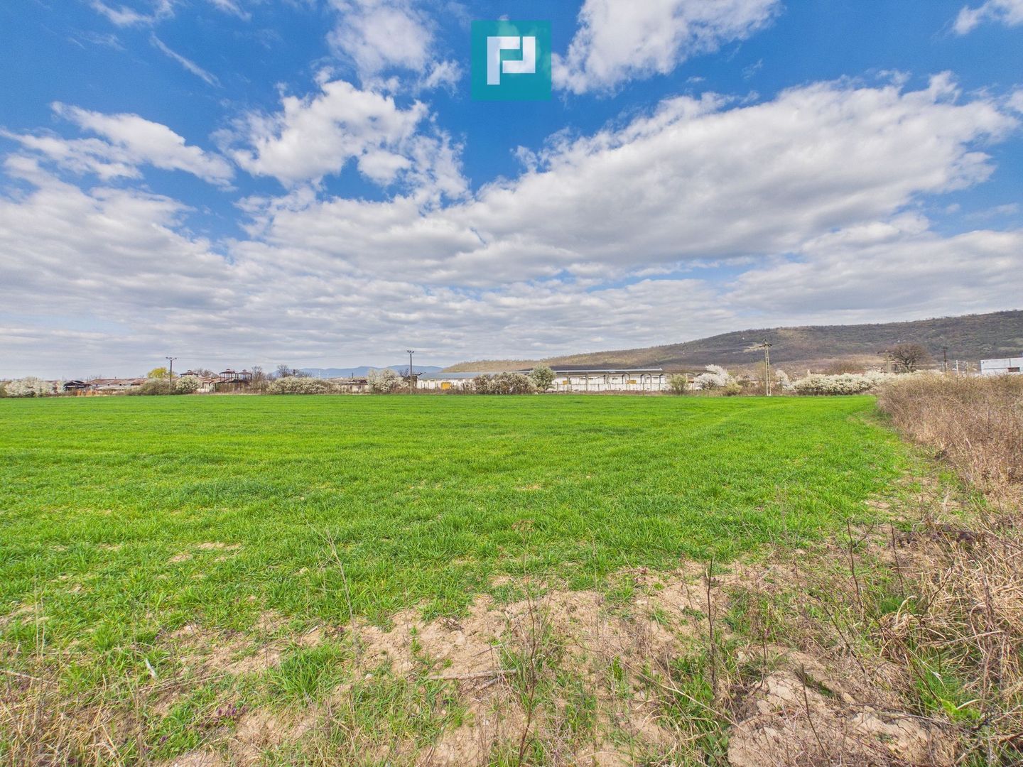 Teren extravilan, 1 ha, în orașul Sebiș, Arad - Poză 3