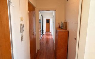 VANZARE 3 CAMERE DRISTOR | BABA NOVAC | - Poză 5