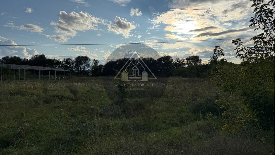 Teren extravilan Alma - Poză 3