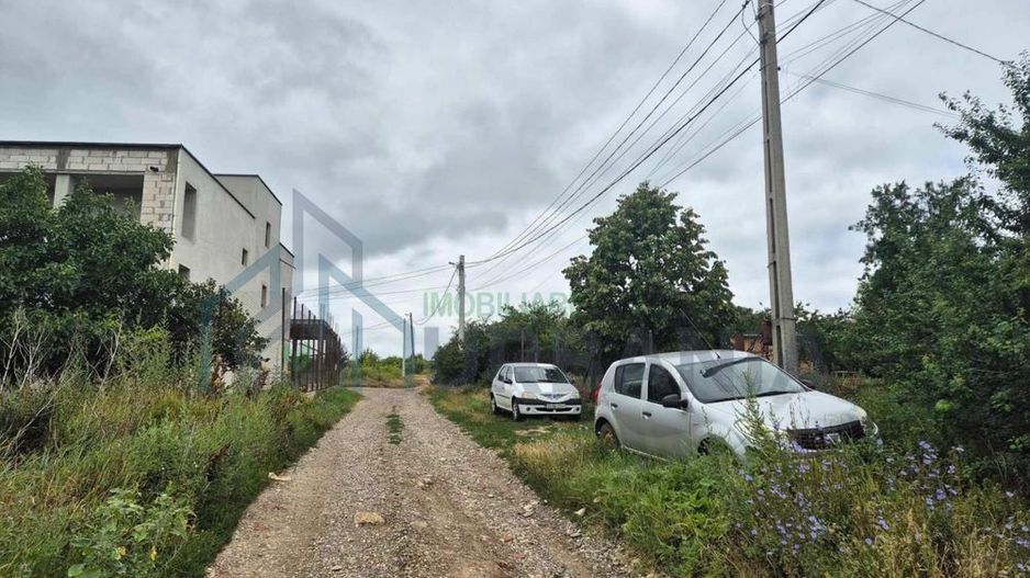 Vând Teren Vișan Bîrnova intravilan - Poză 3