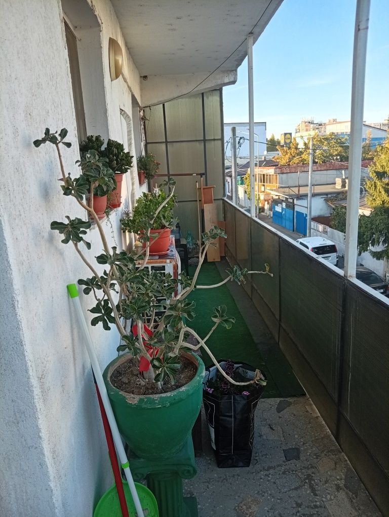 Apartament 2 camere renovat la 2 minute de metrou Crangasi - Poză 8