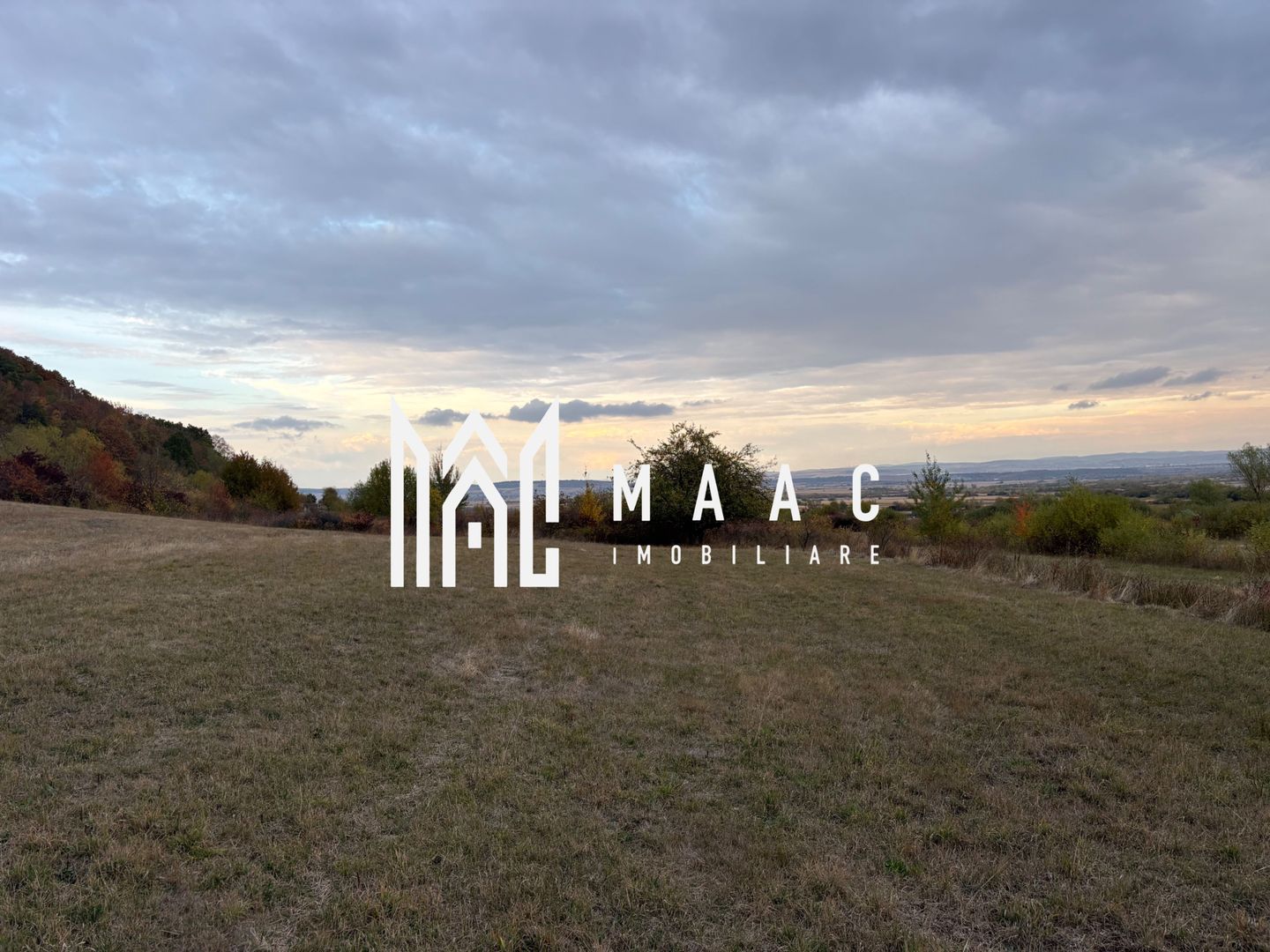 Teren de vânzare 5.000 mp | Poplaca | lângă pădure - Poză 5