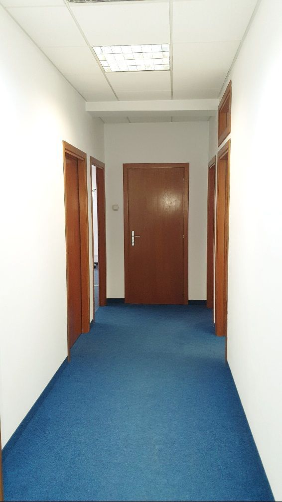 Spatiu birouri- Ion Mihalache- Ciuperca-Expozitiei - Poză 6