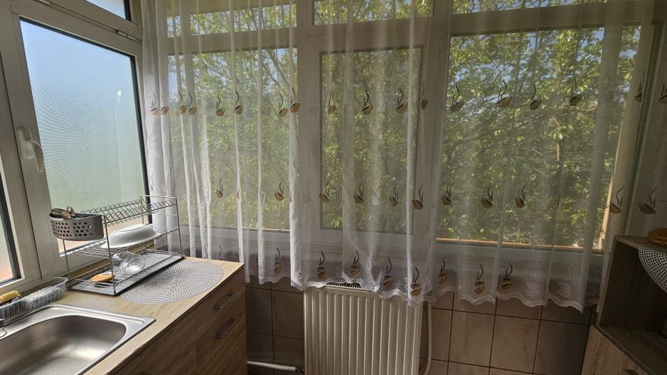 Apartament 2 camere Central - Eremia Grigorescu - Poză 8