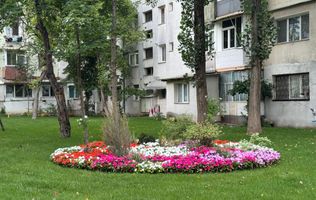 Apartament 2 camere decomandat Alexandru cel Bun