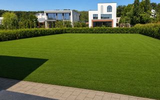 Dumbrava Vlasiei – Armonie între design, lumină și natură - Poză 7
