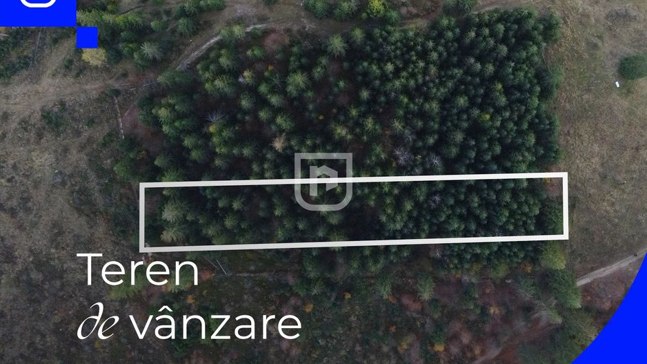 Teren situat in Frasin | BUCOVINA - Poză 1