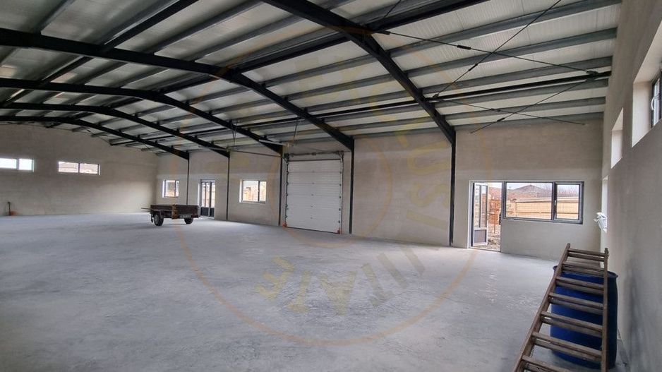 Inchiriere Hală Producție/Depozitare 300 mp, Teren 1791 mp - Carei - Poză 5