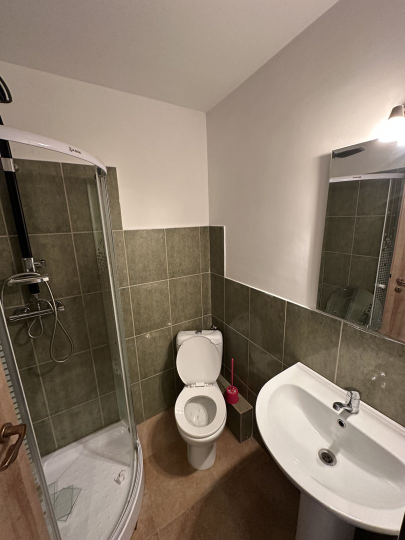 Proprietate cu piscina Dumbravita - Poză 33