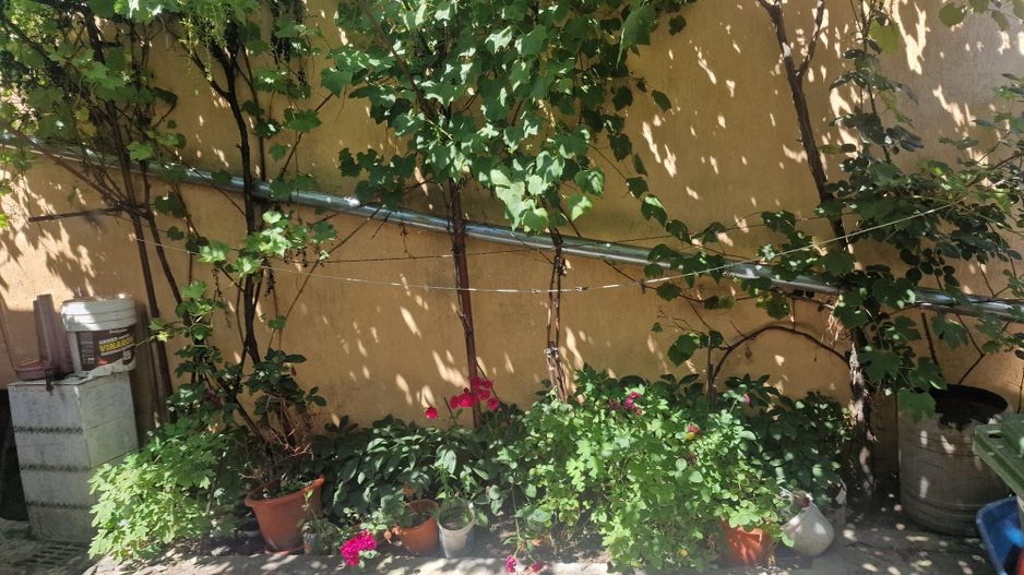 Vanzare Casa Individuala Rahova - Sos. Magurele - Poză 3