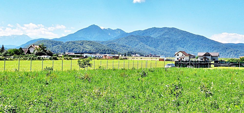 Sacele, teren intravilan 1386 mp, parau, priveliste superba, 45 euro/mp - Poză 15