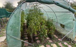 Casa | 9 camere | Garaj | Piscina | Teren 3.000 mp | Comision 0% - Poză 41