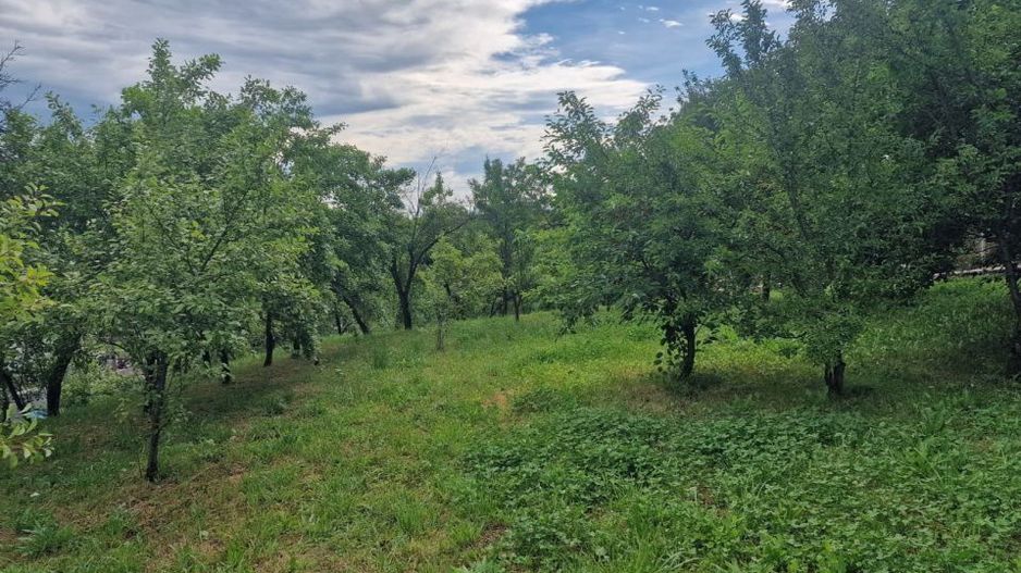 Teren intravilan  1400 mp - Albota ! - Poză 5