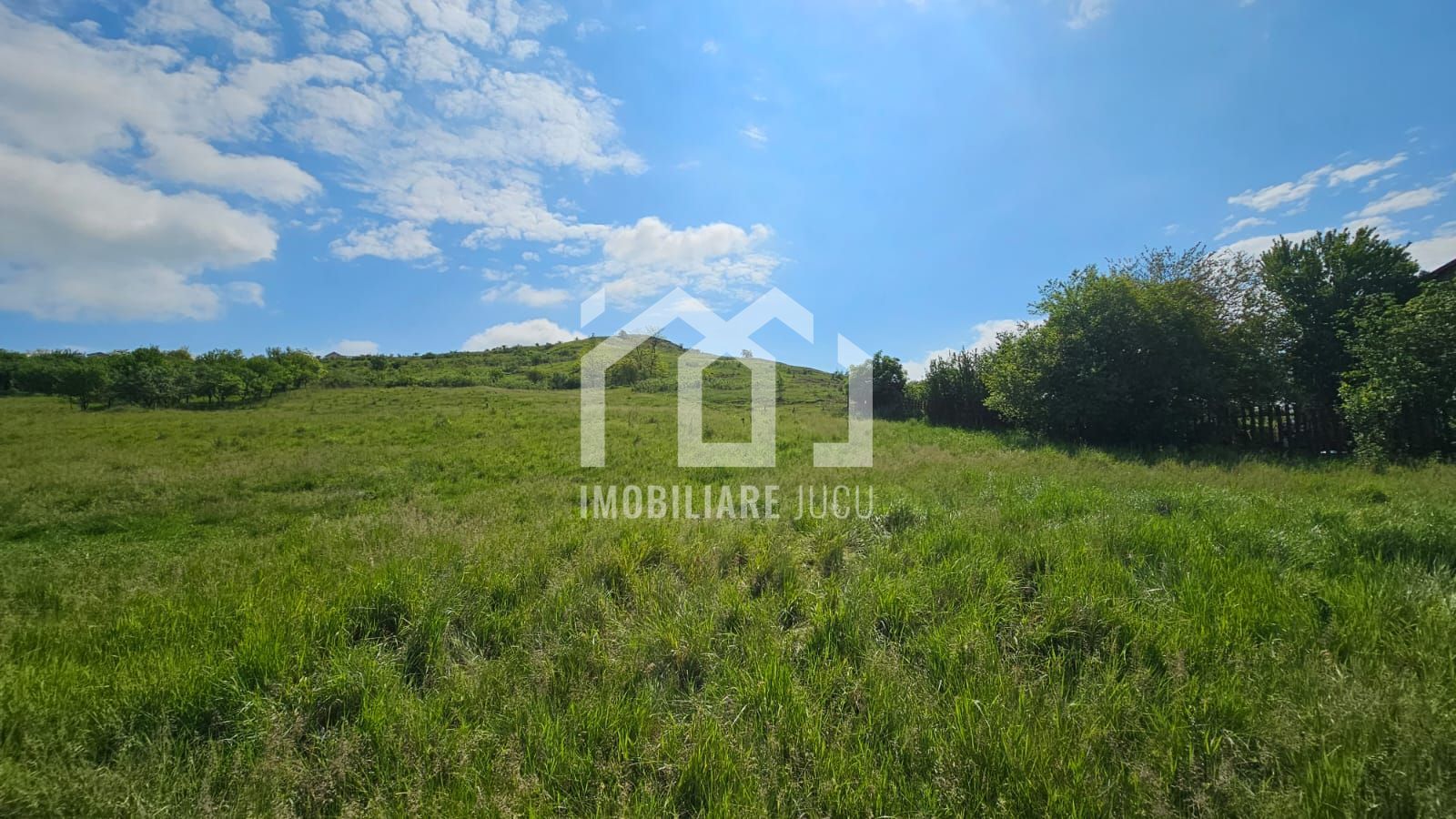 Teren cu vedere la Lacul 2 – 2.103 mp | Câmpenești - Poză 3