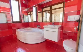 VILA CU 5 CAMERE LA INCHIRIERE IN IANCU NICOLAE - Poză 13