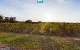 Pivnițele Birăuaș D.O.C Miniș - RATE FĂRĂ DOBÂNDĂ - Poză 33