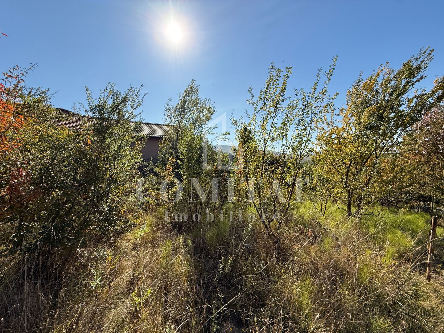 Teren intravilan Făget | 1.490 mp | Front 15 ml | Toate utilitățile - Poză 7