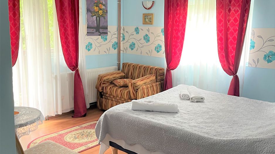 Proprietate in incantarea naturii, oportunitate investitie/rezidential, Predeal - Poză 15