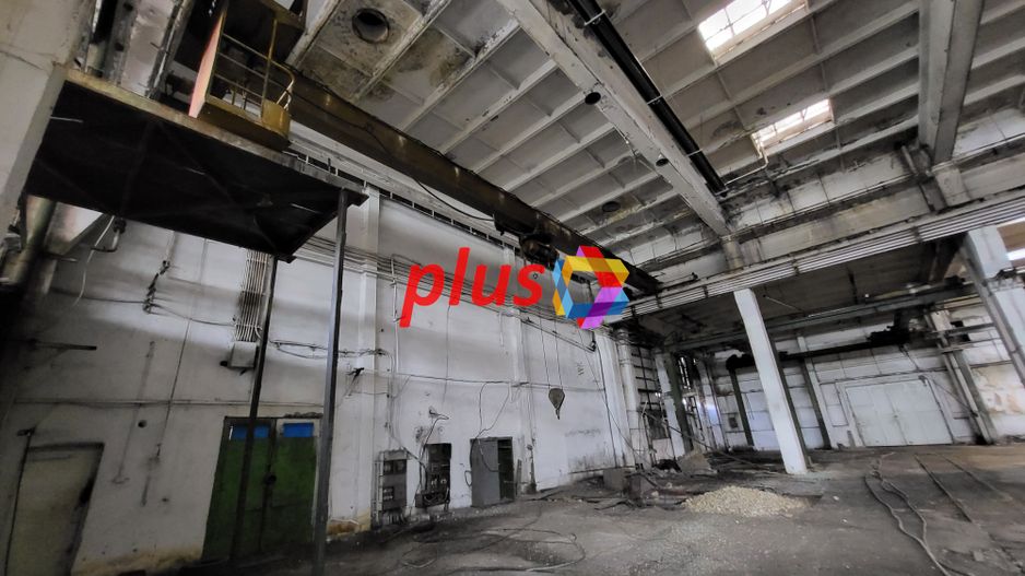 Hala - 3013 mp  # plus-imo.ro - Poză 3