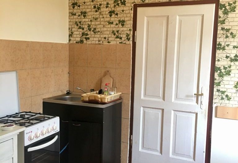 Casa cu apartamente si SAD -uri in zona Traian - Poză 4