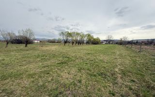 Teren intravilan 2166 mp-Parcelabil-utilitati-Livezile, Zona Rit - Poză 1