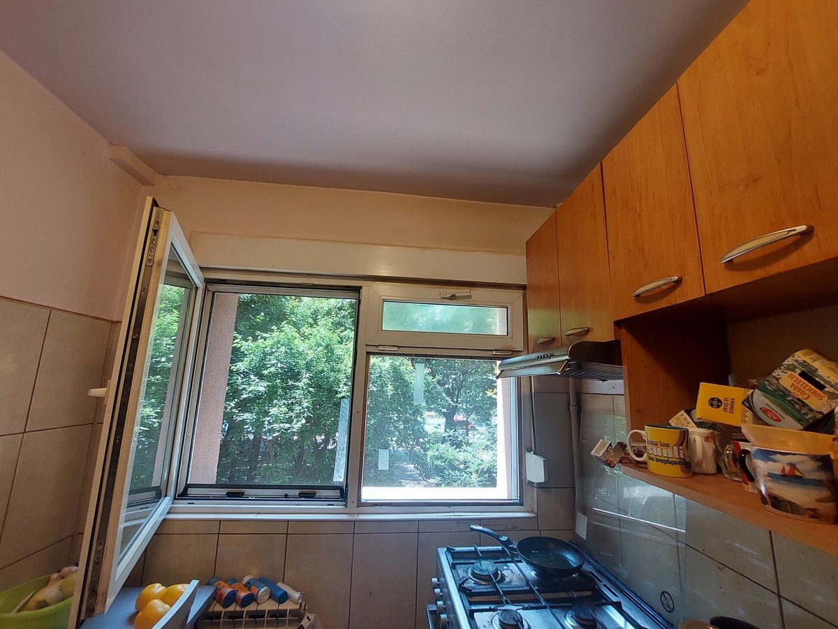 Alexandru Obregia - Poză 8