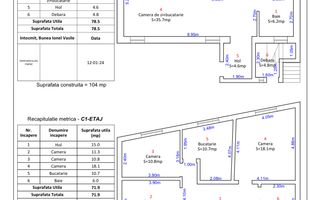 Oportunitate investitie, vila strada Dimitrie Cantemir - Poză 29