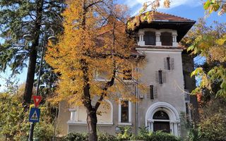 Vila individuală interbelica 16 camere Primaverii, Dorobanti, Beller - Poză 12