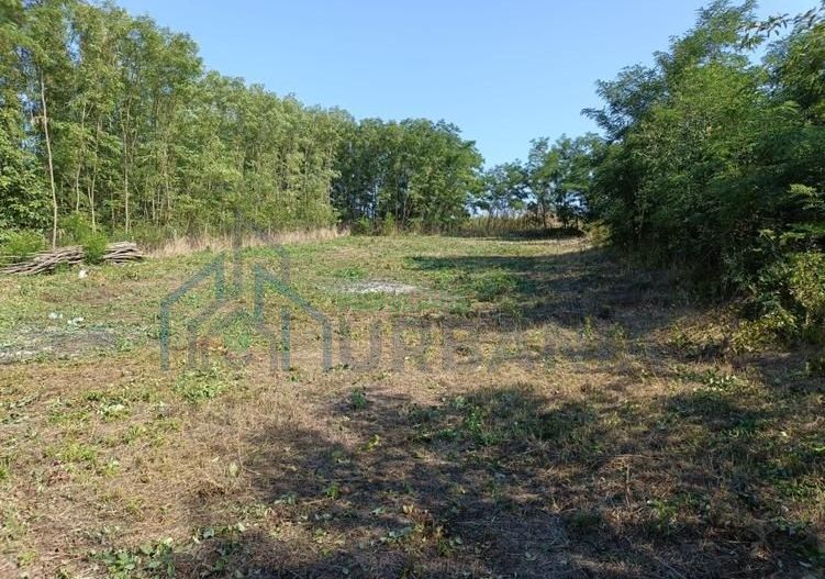Casă renovată în stil tradițional, Romanesti, Iași – 3 camere, 50 mp utili, teren 3240 mp - Poză 11