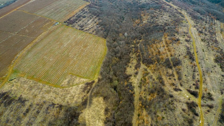 Teren pe deal în Miniș - Poză 7