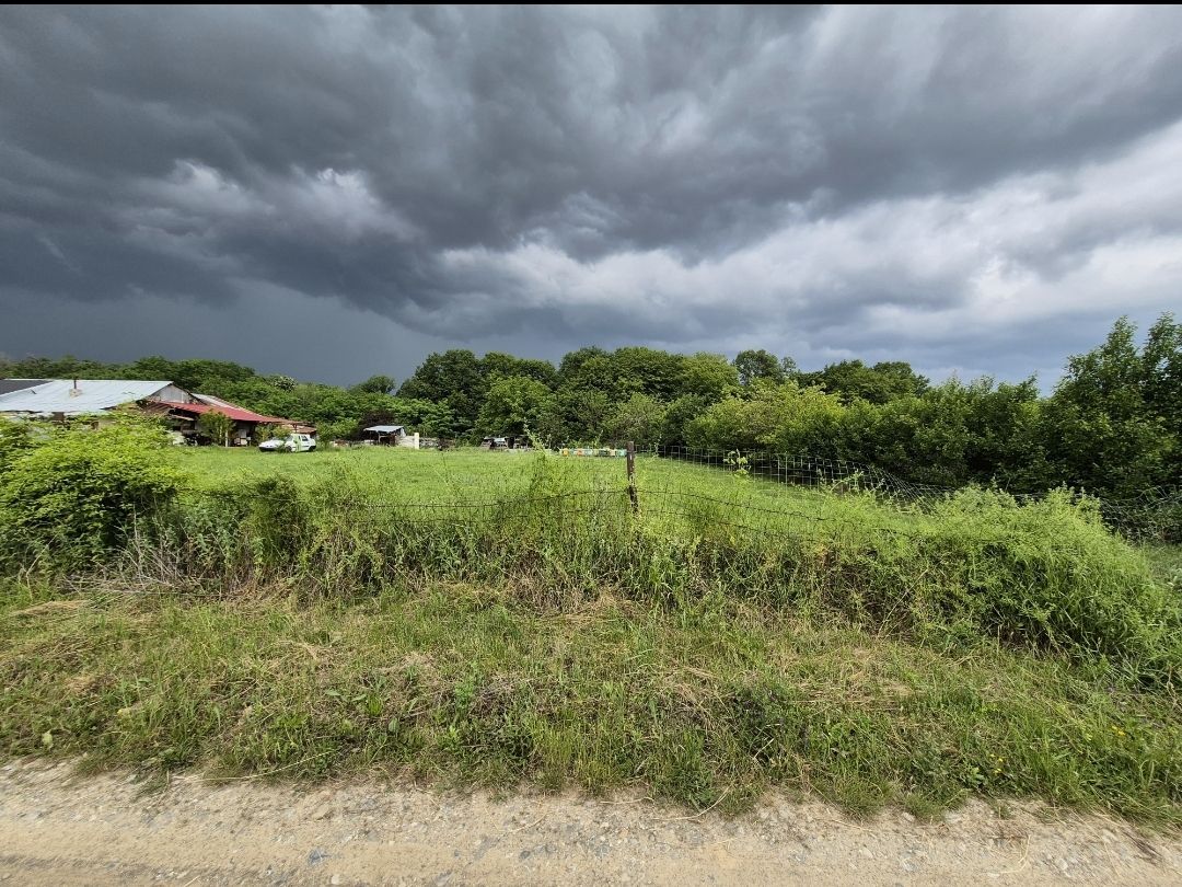 Teren intravilan langa pădure 1260 mp , deschidere 20 ml Prahova -Misl - Poză 4