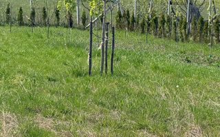 Teren exreavilan in Dealul Sibiului - Poză 5