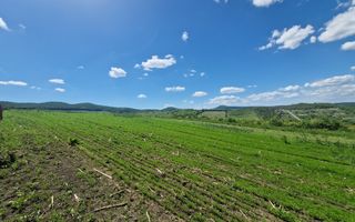 Teren extravilan 2 hectare Zona Sigmir - Poză 2
