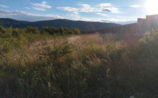 Teren de Vanzare 25AR Crainimat - Poză 3