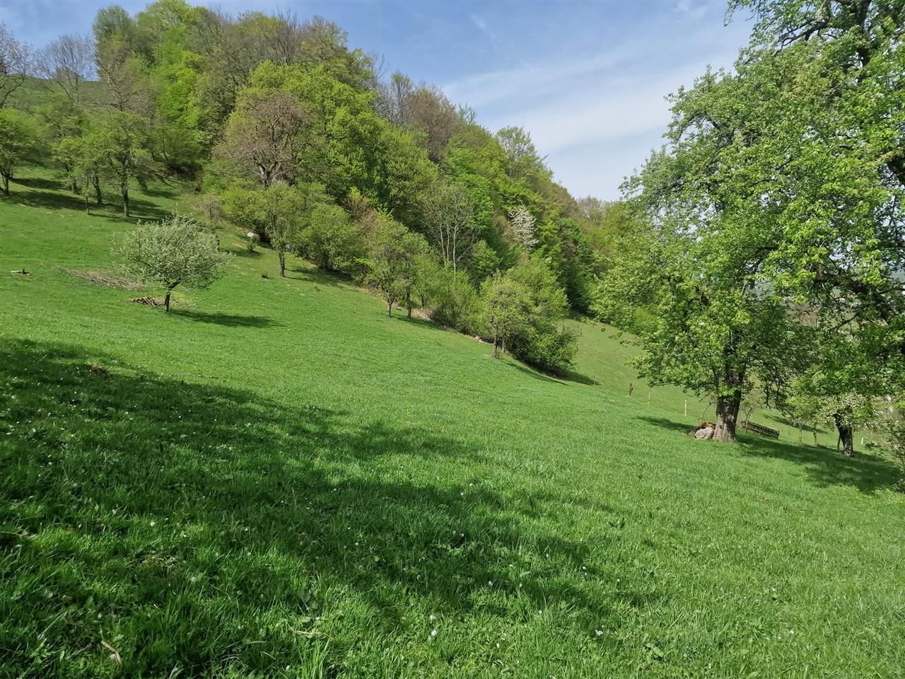 Langa emblematicul Castelul Bran, in areal colinar, 5.700mp intravilan - Poză 10