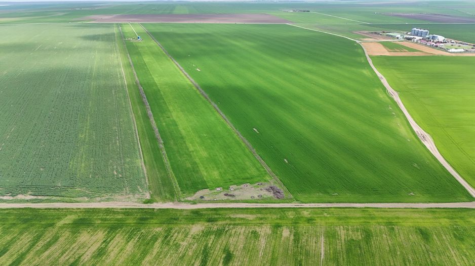 Teren de vanzare in Săcele ideal pentru silozuri, fermă 6 ha - Poză 7