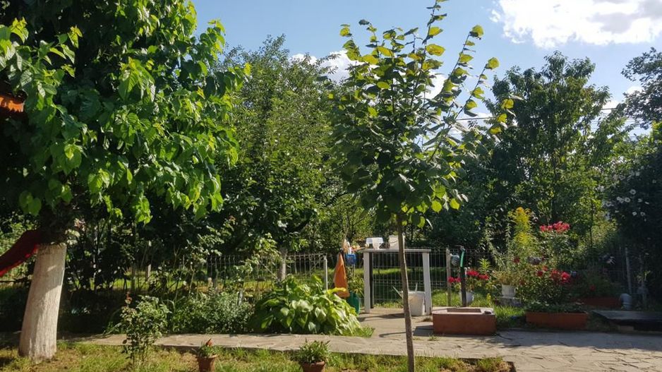 vila indiv+1198mp teren/pe DN4(sosBucuresti) in Frumusani/jud.Calarasi - Poză 10