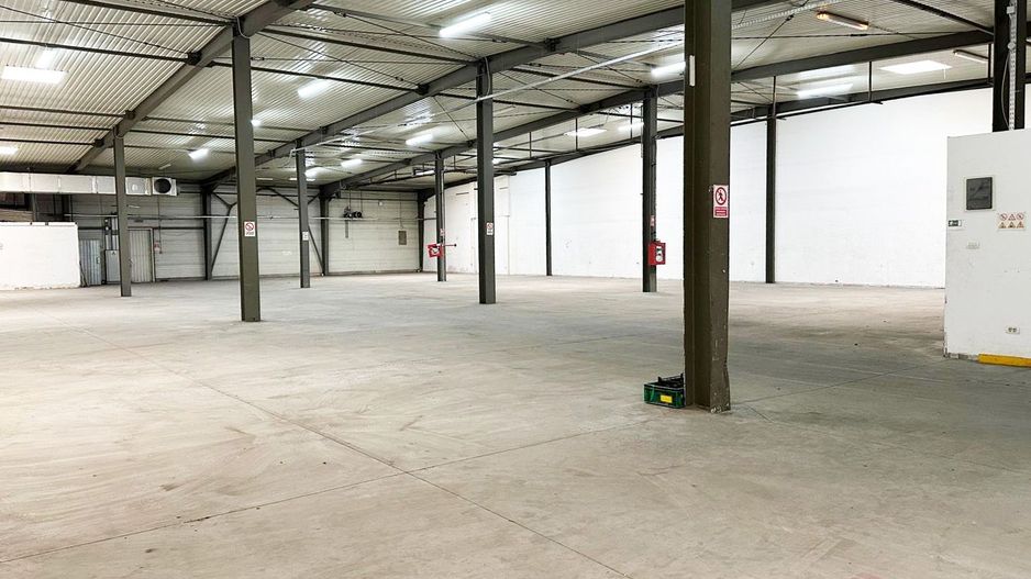 Hala de inchiriat Arad – 1.135 mp pentru comert, servicii - Poză 5