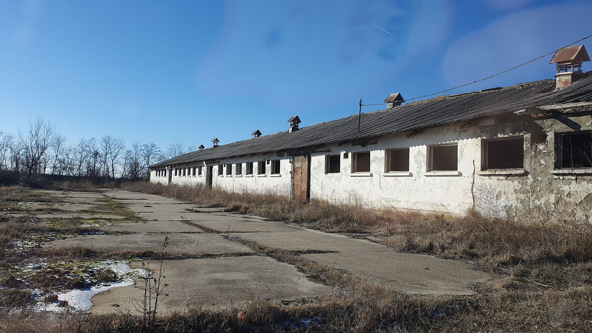 Vând teren intravilan 10 hectare Crevedia, cu gaze și curent. - Poză 10