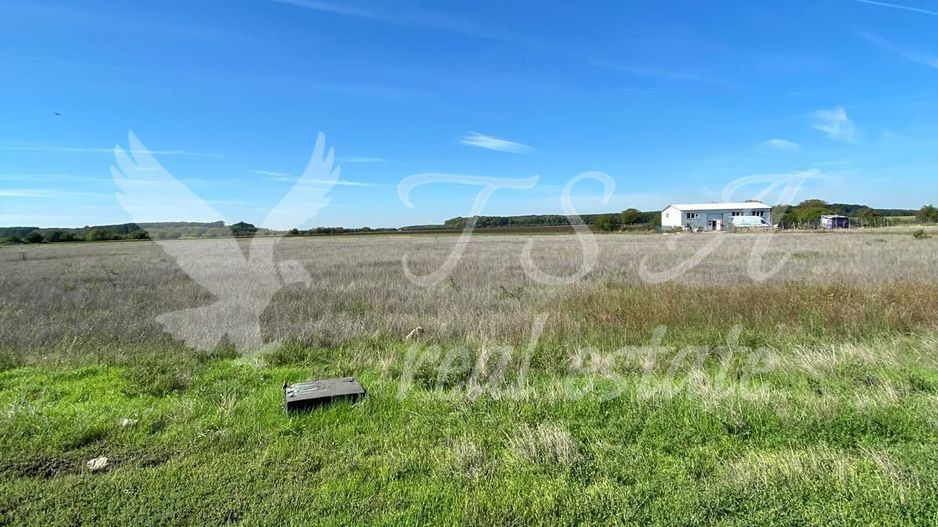 Teren Intravilan 825mp Cu dubla deschidere si Drum de servitute, Dascalu  Ilfov - Poză 1