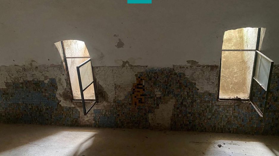 Conac nobiliar de secol XIX cu 8 camere în Maciova - Poză 26