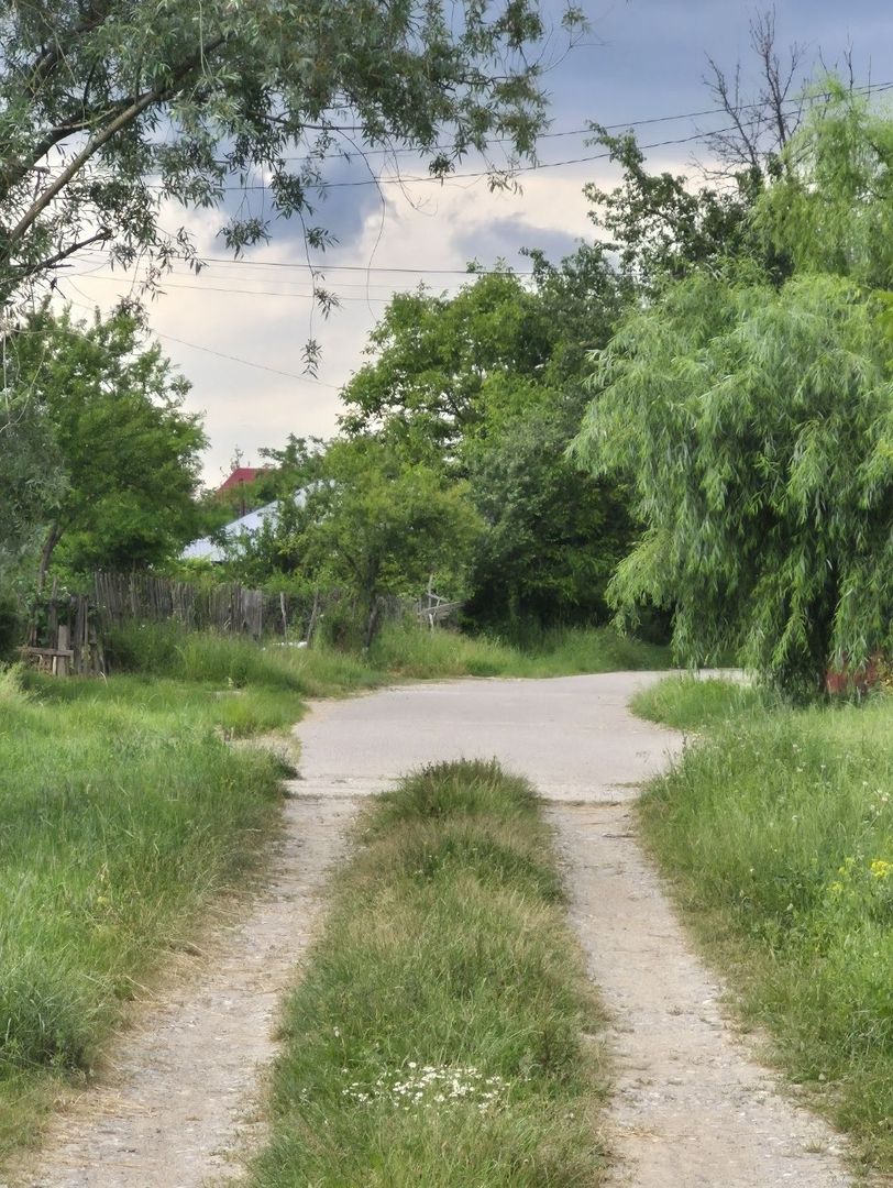 Teren intravilan langa pădure 1260 mp , deschidere 20 ml Prahova -Misl - Poză 13