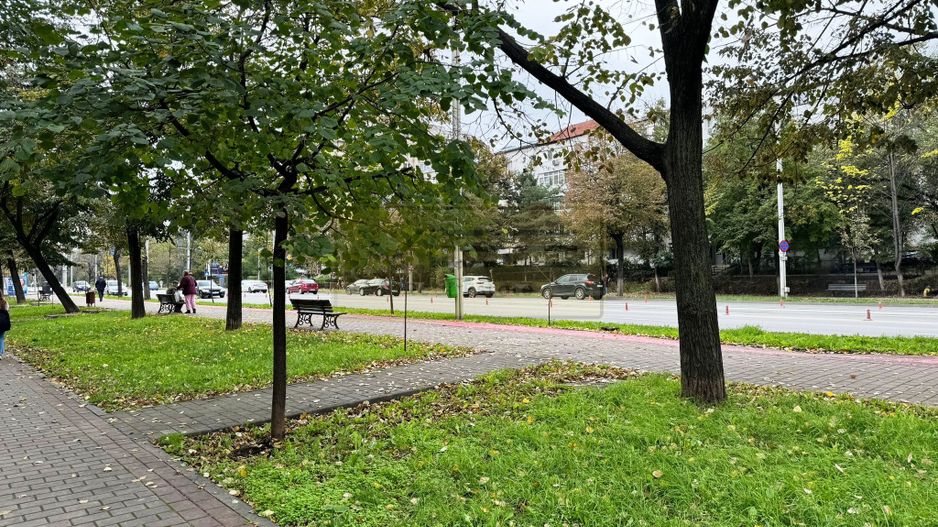 Apartament 2 camere decomandat Nicolina - CUG Rond Vechi - Poză 20