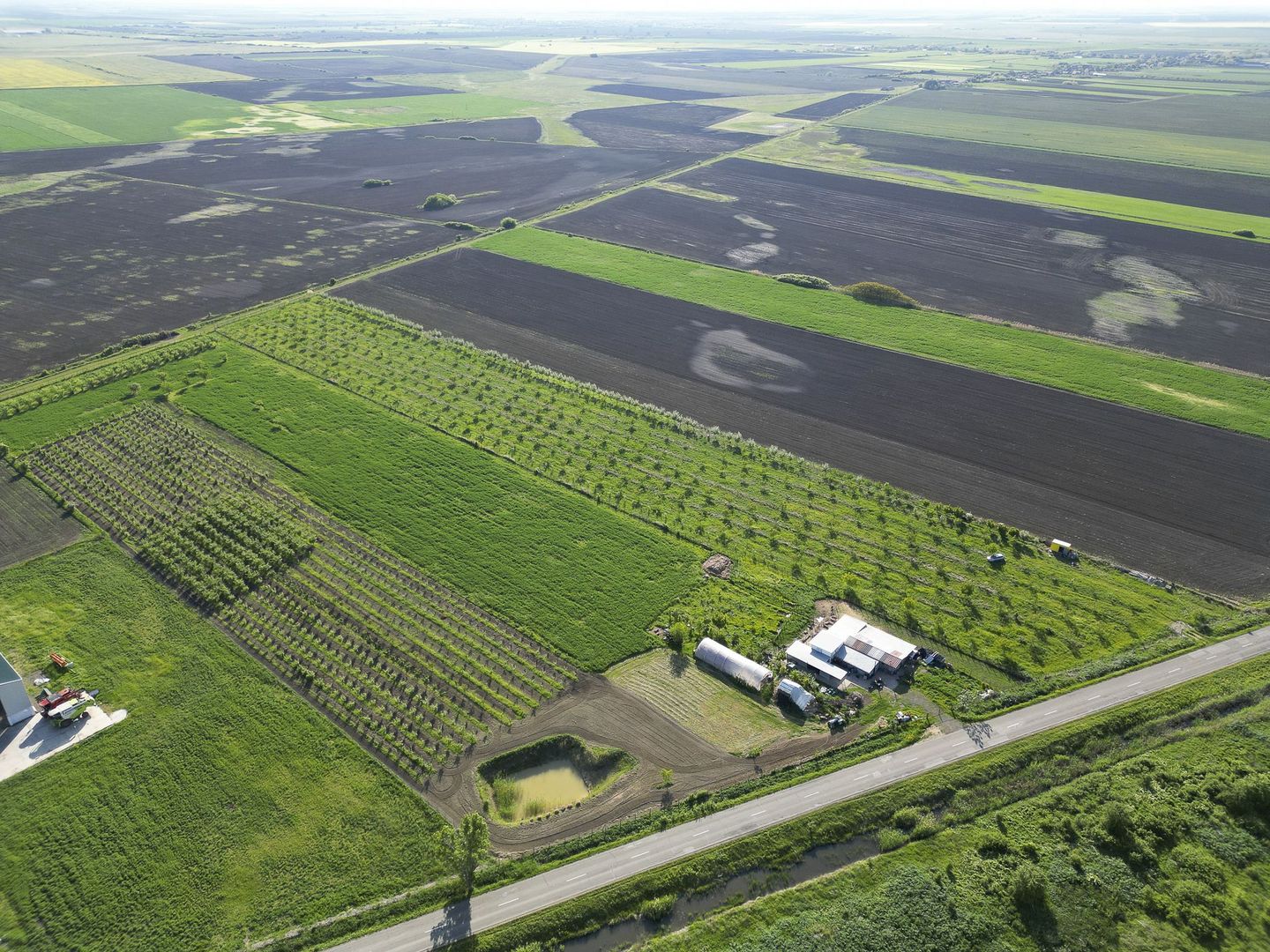 Livadă de nuci și pruni 2.4ha în Variașu Mare - Poză 15